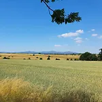 Blauvogel By Interhome