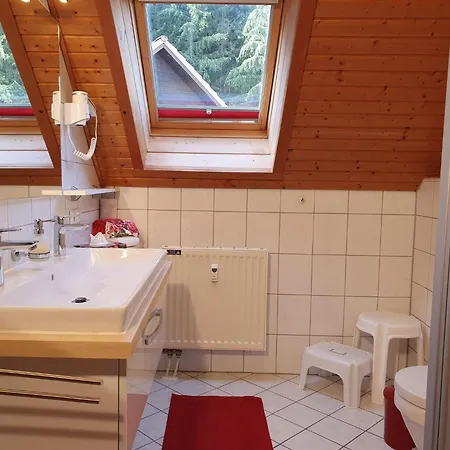 Blauvogel By Interhome Holiday home Hasselfelde
