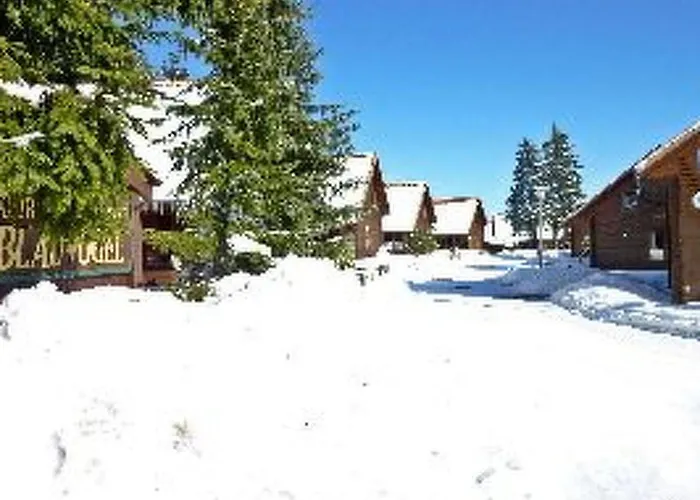 Blauvogel By Interhome *