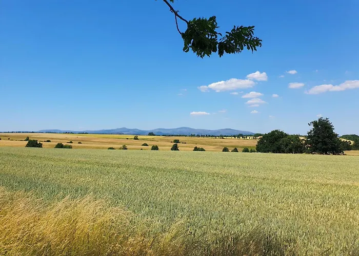 Blauvogel By Interhome